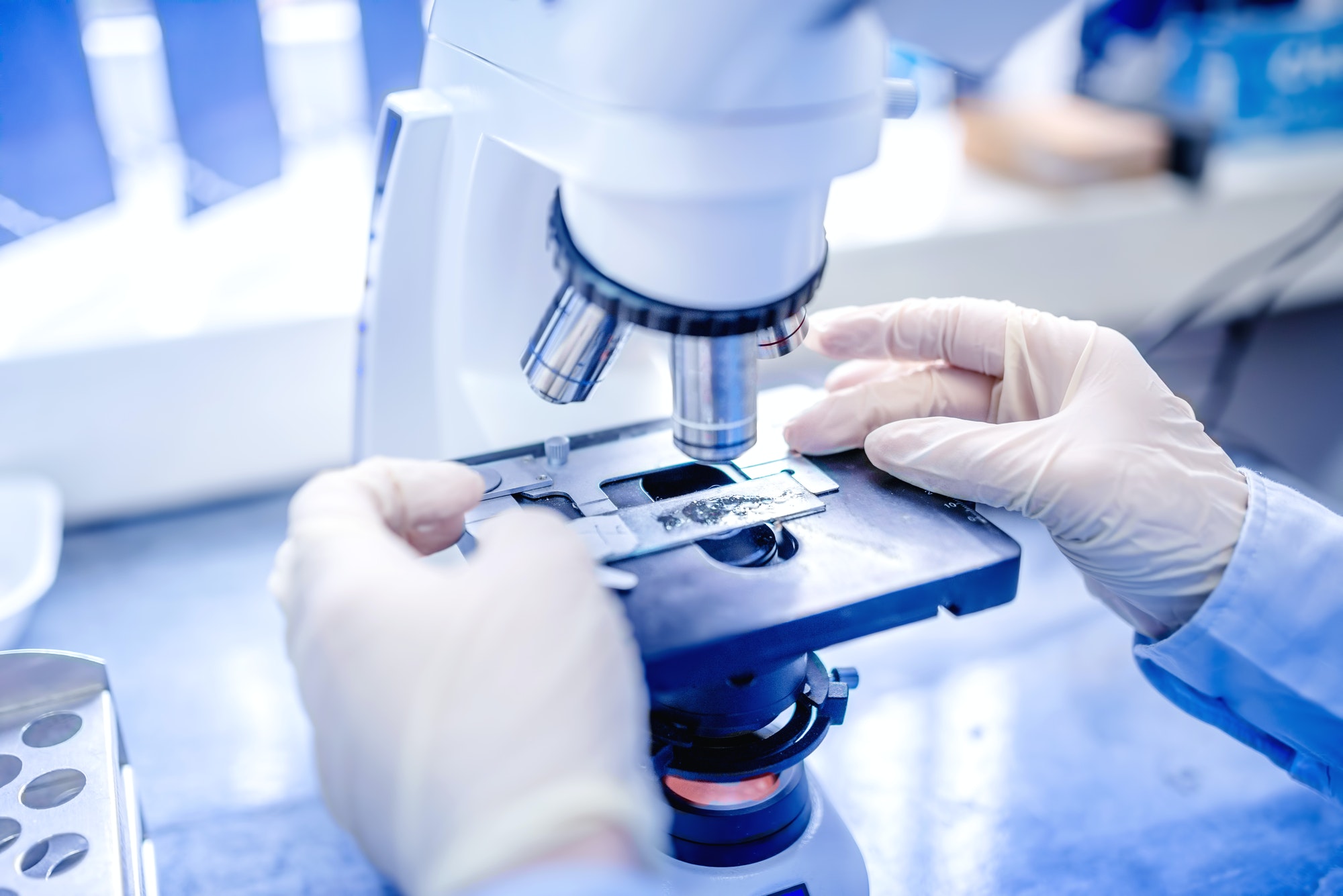 Sample examination under a microscope